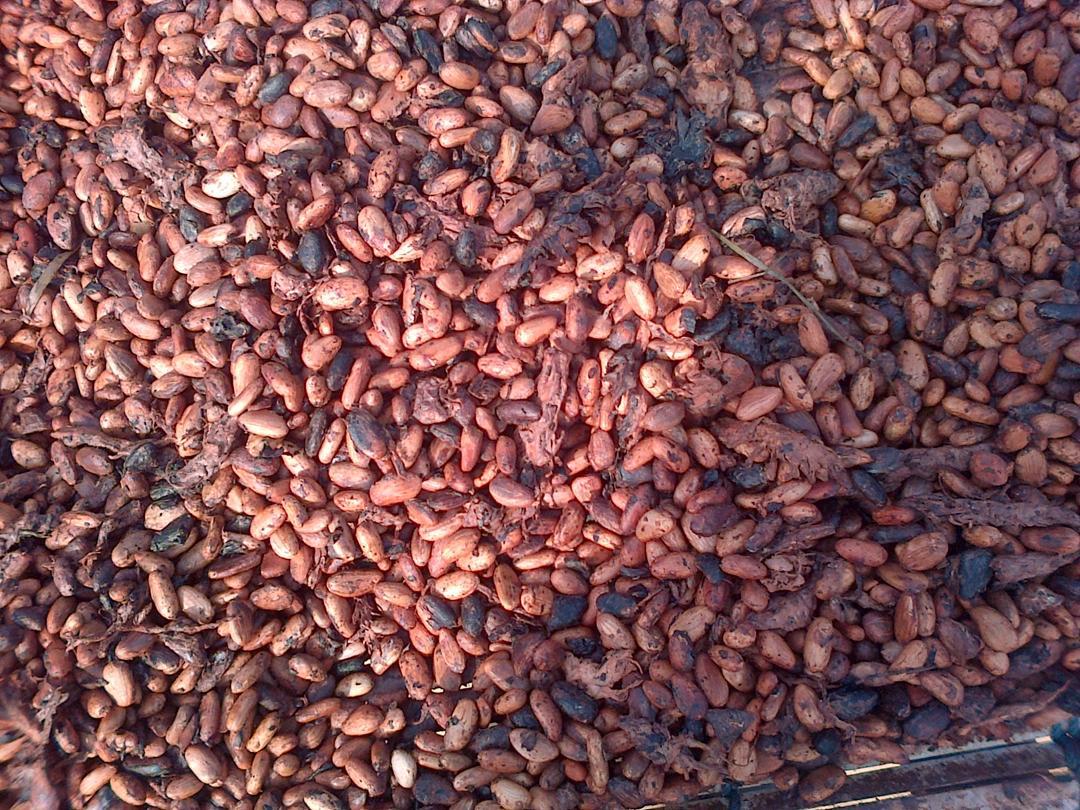 Signature Blend Roast Coffee