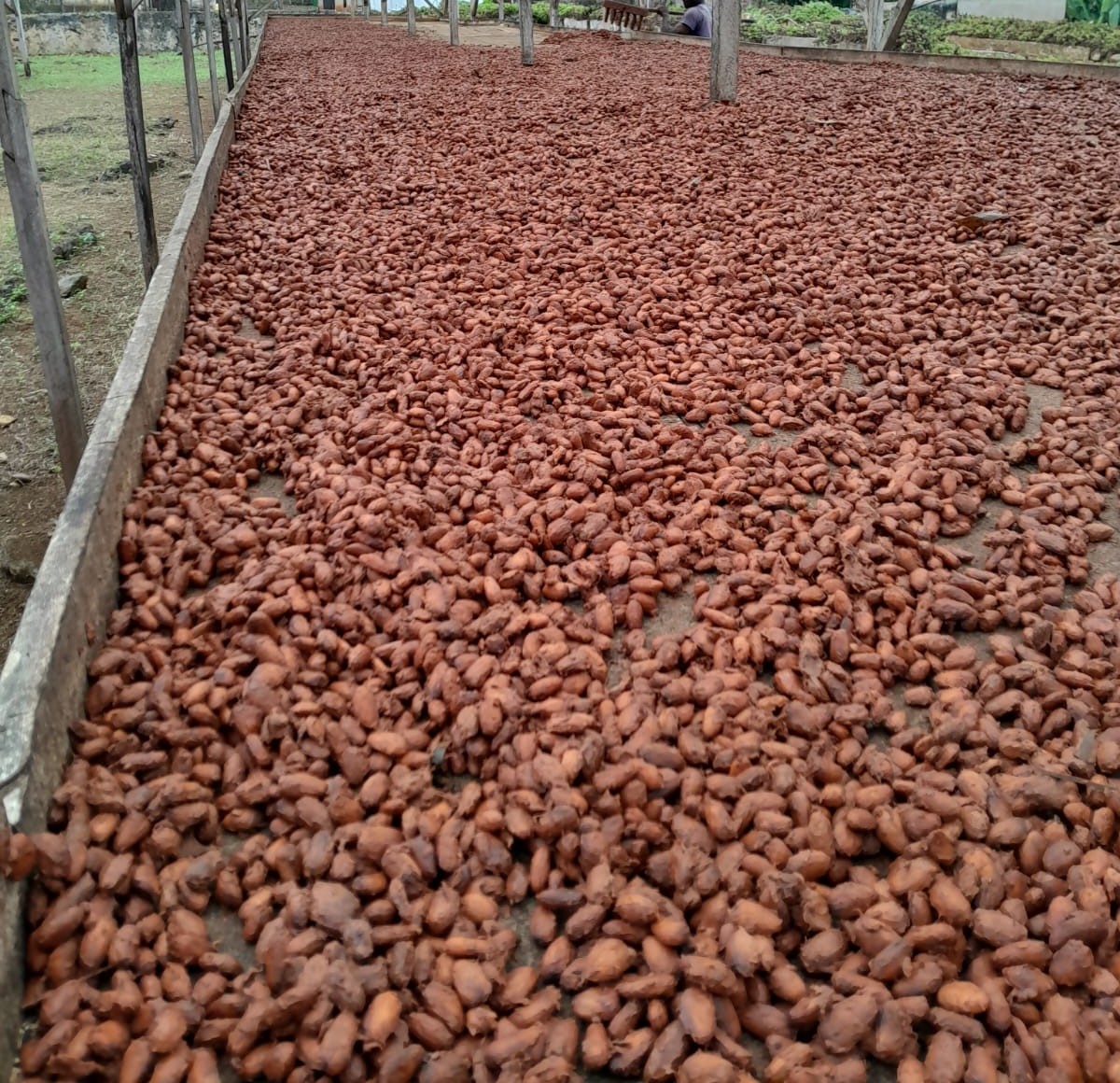 Signature Blend Roast Coffee